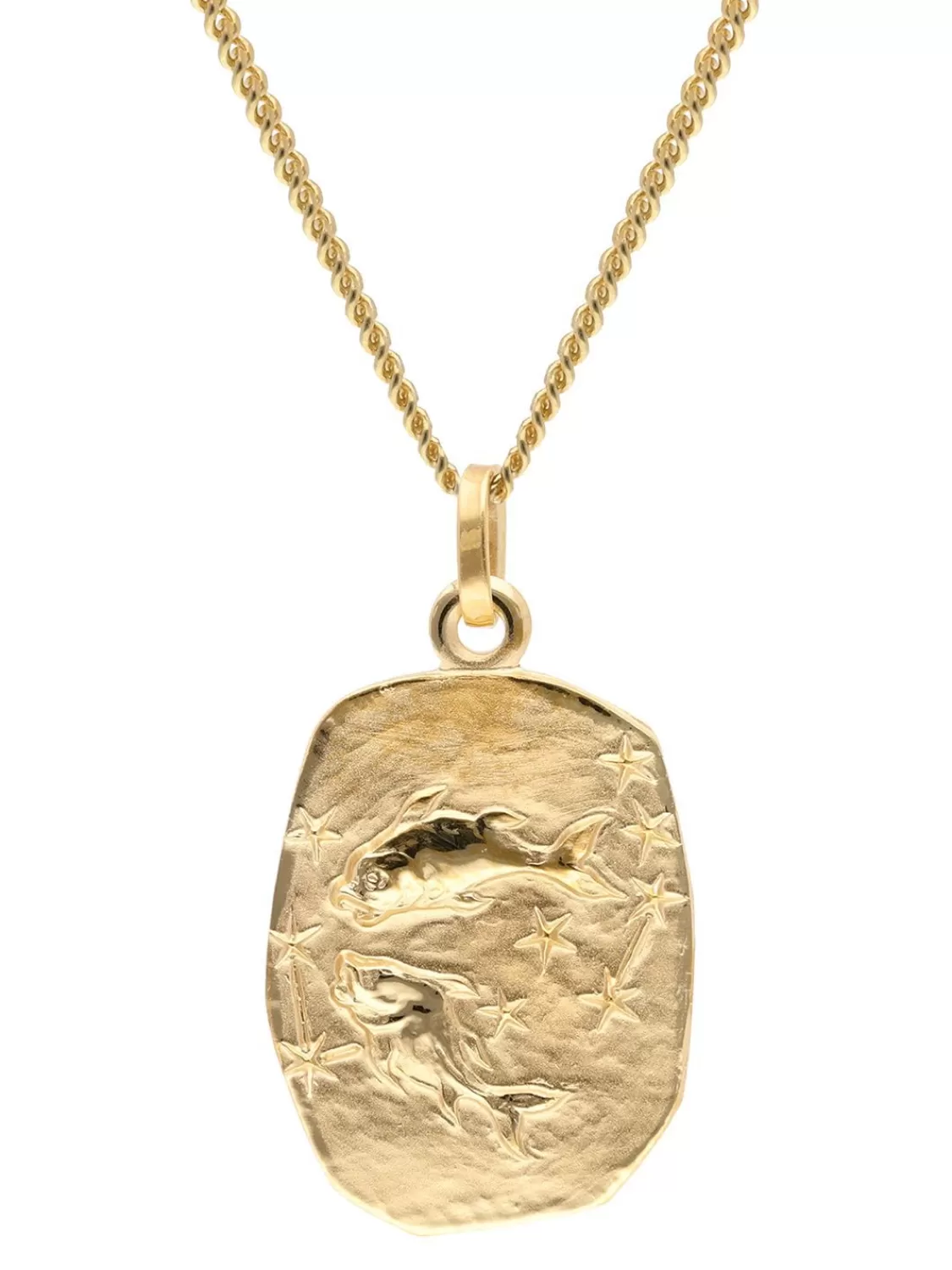 trendor Fische Sternzeichen Gold 333 / 8K Mit Vergoldeter Silberkette | Herrenschmuck