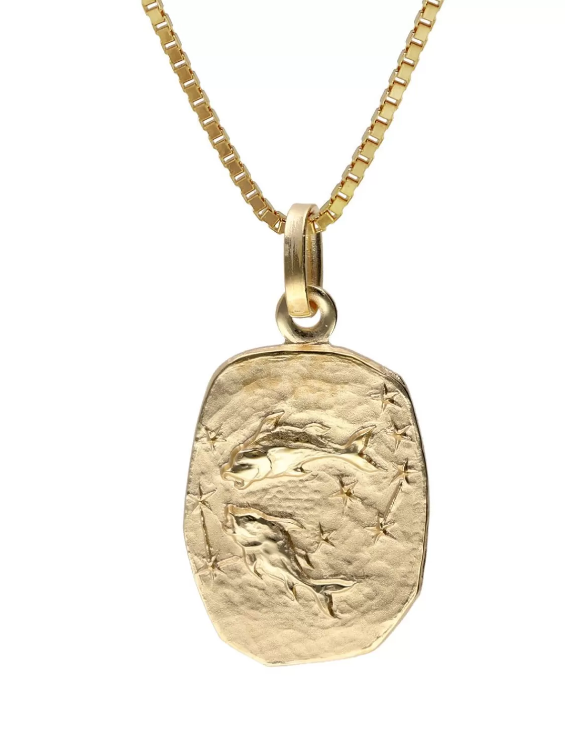 trendor Fische Sternzeichen Gold 333 / 8K Mit Vergoldeter Silberkette | Herrenschmuck