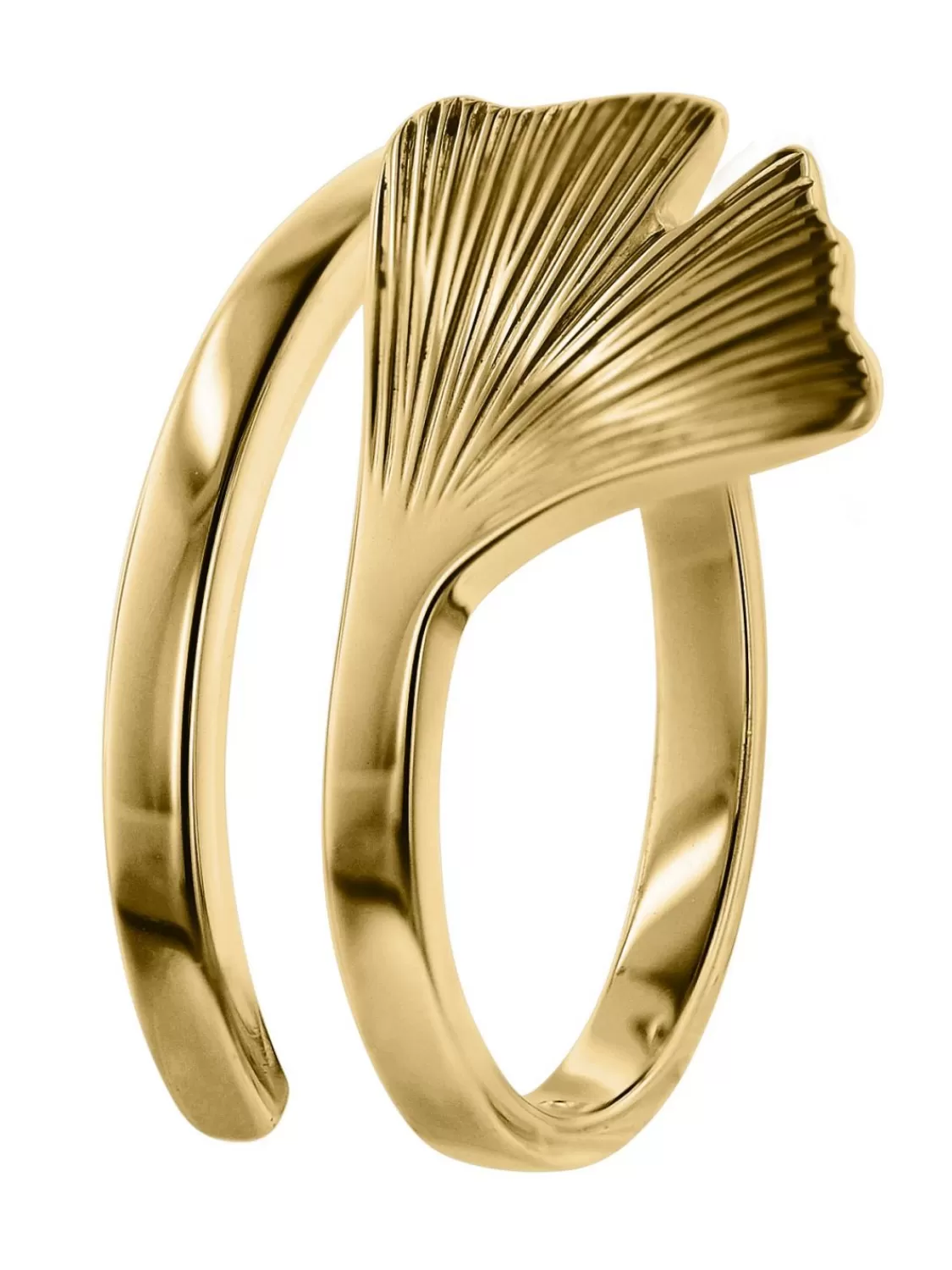 trendor Ginkgo Damen-Ring Gold 333 | Damenschmuck