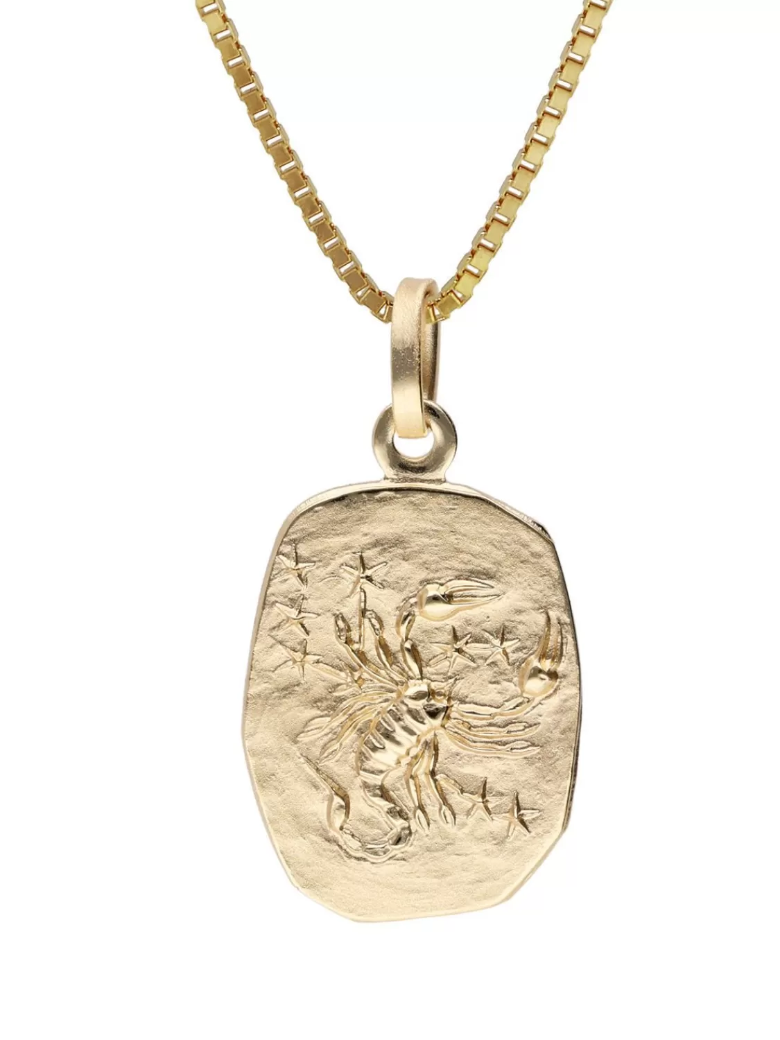 trendor Skorpion Sternzeichen Gold 333 Mit Vergoldeter Silberkette | Herrenschmuck