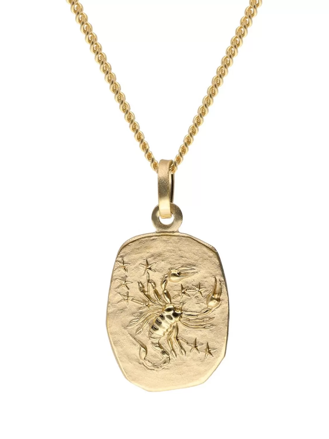 trendor Skorpion Sternzeichen Gold 585 Mit Vergoldeter Silberkette | Herrenschmuck