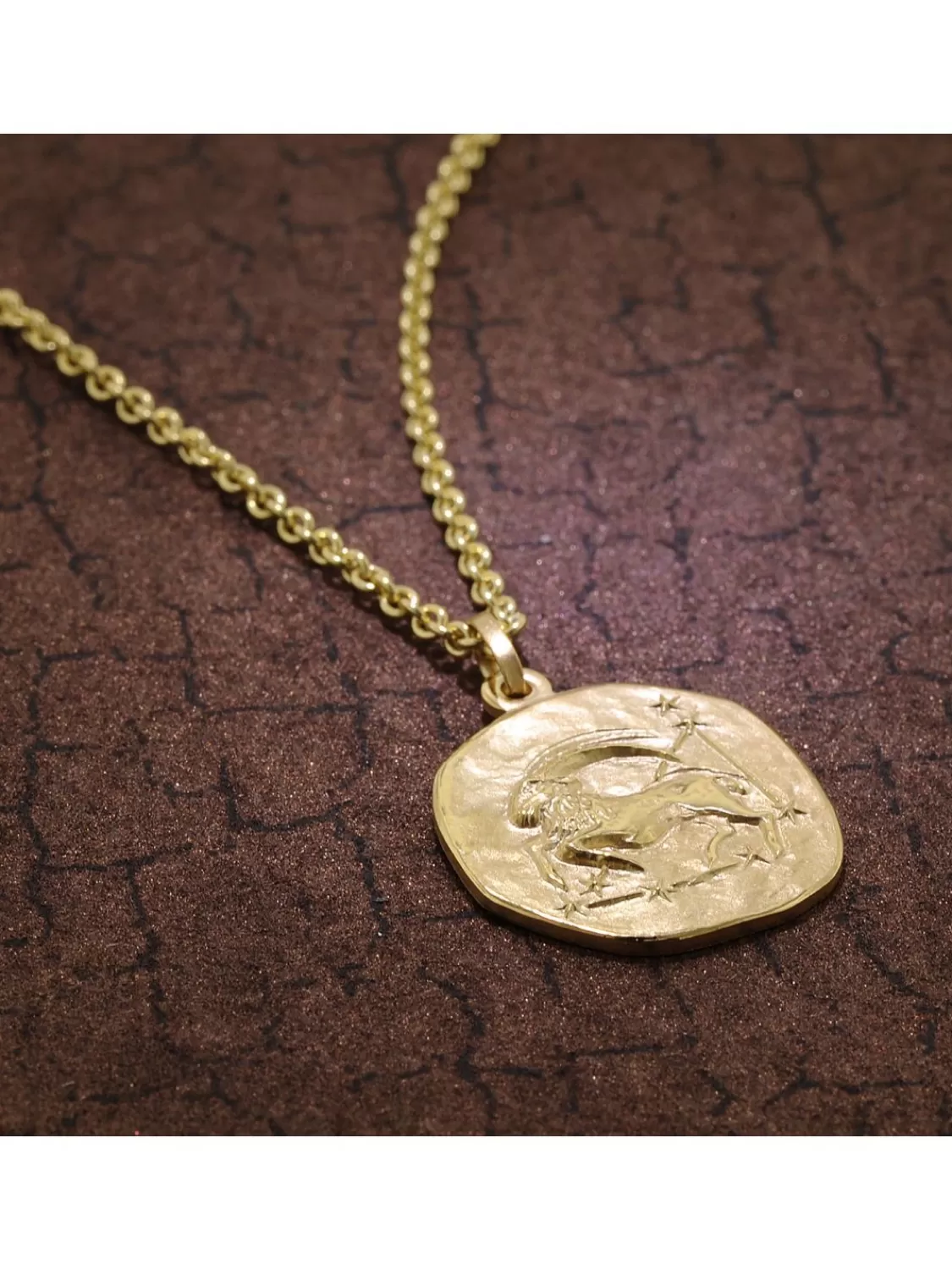 trendor Steinbock Sternzeichen O 20 Mm Herrenkette Gold Auf Silber | Herrenschmuck