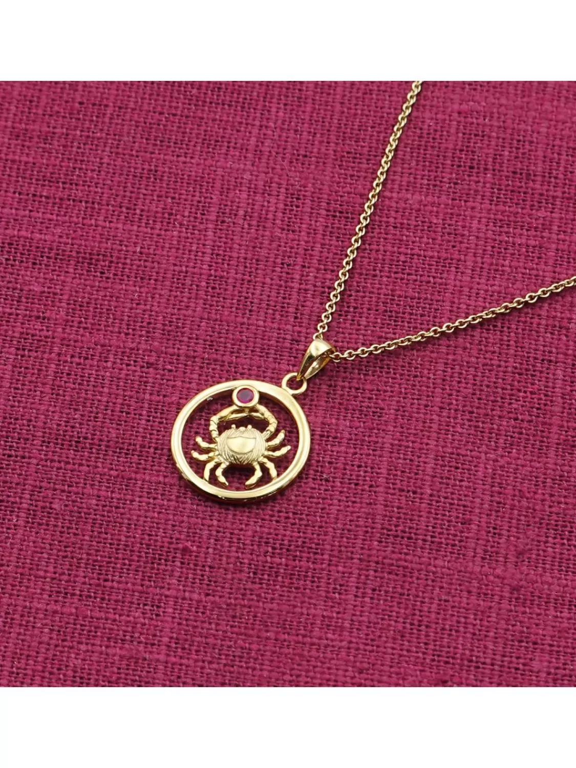 trendor Sternzeichen Krebs Gold 333 Mit Rubin + Vergoldete Kette | Damenschmuck