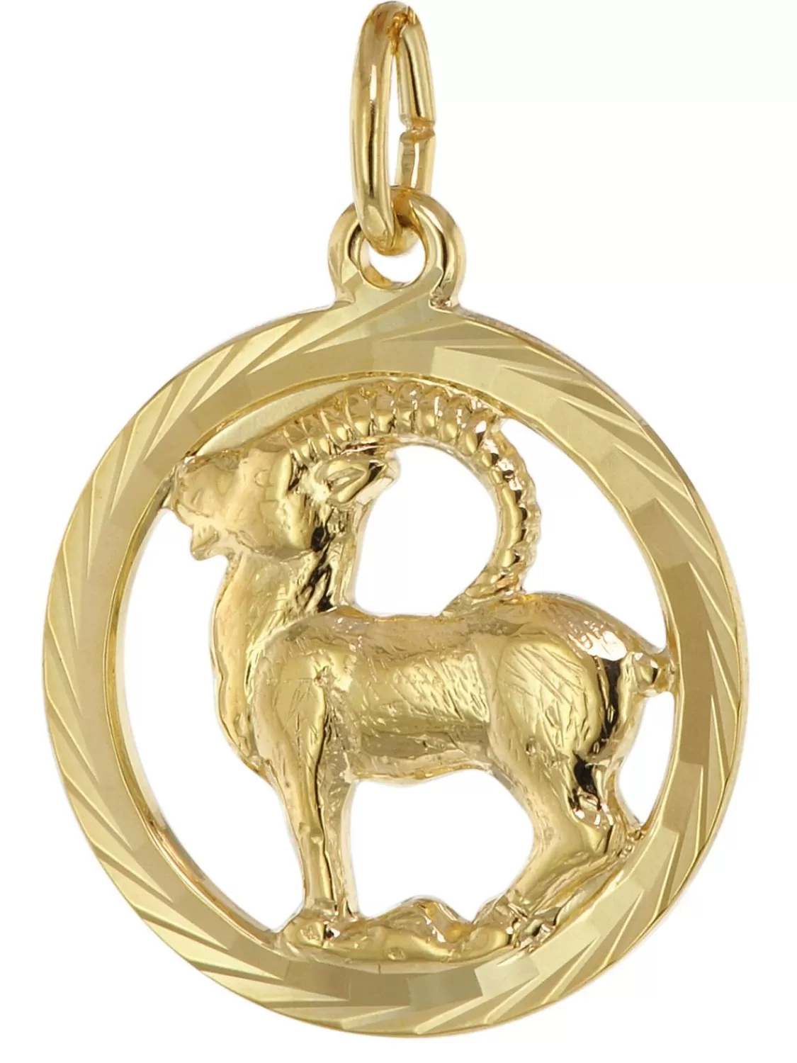 trendor Sternzeichen Steinbock 333 Gold Anhanger O 16 Mm | Herrenschmuck