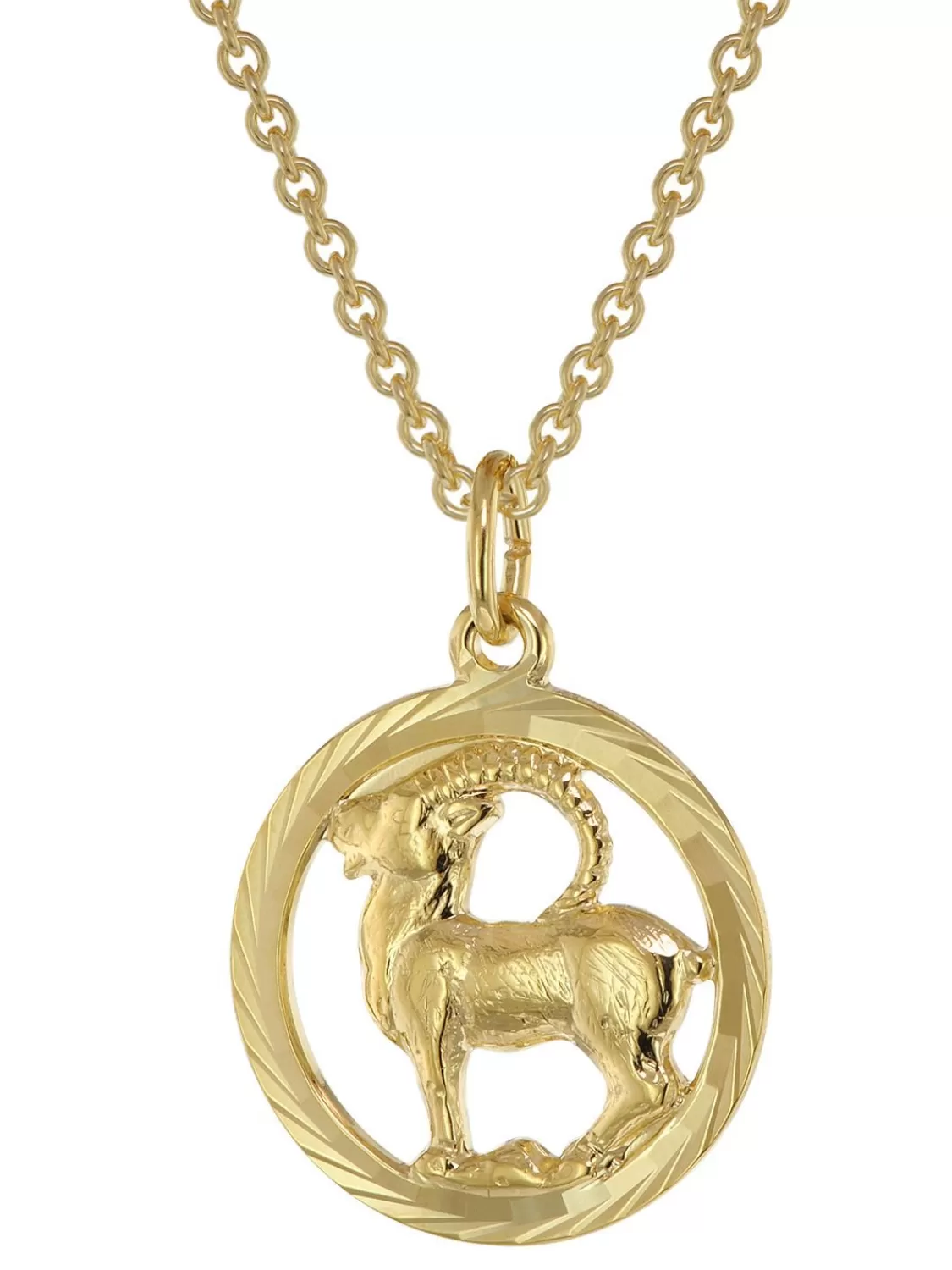 trendor Sternzeichen Steinbock Gold 333 Anhanger O 16 Mm + Halskette | Damenschmuck