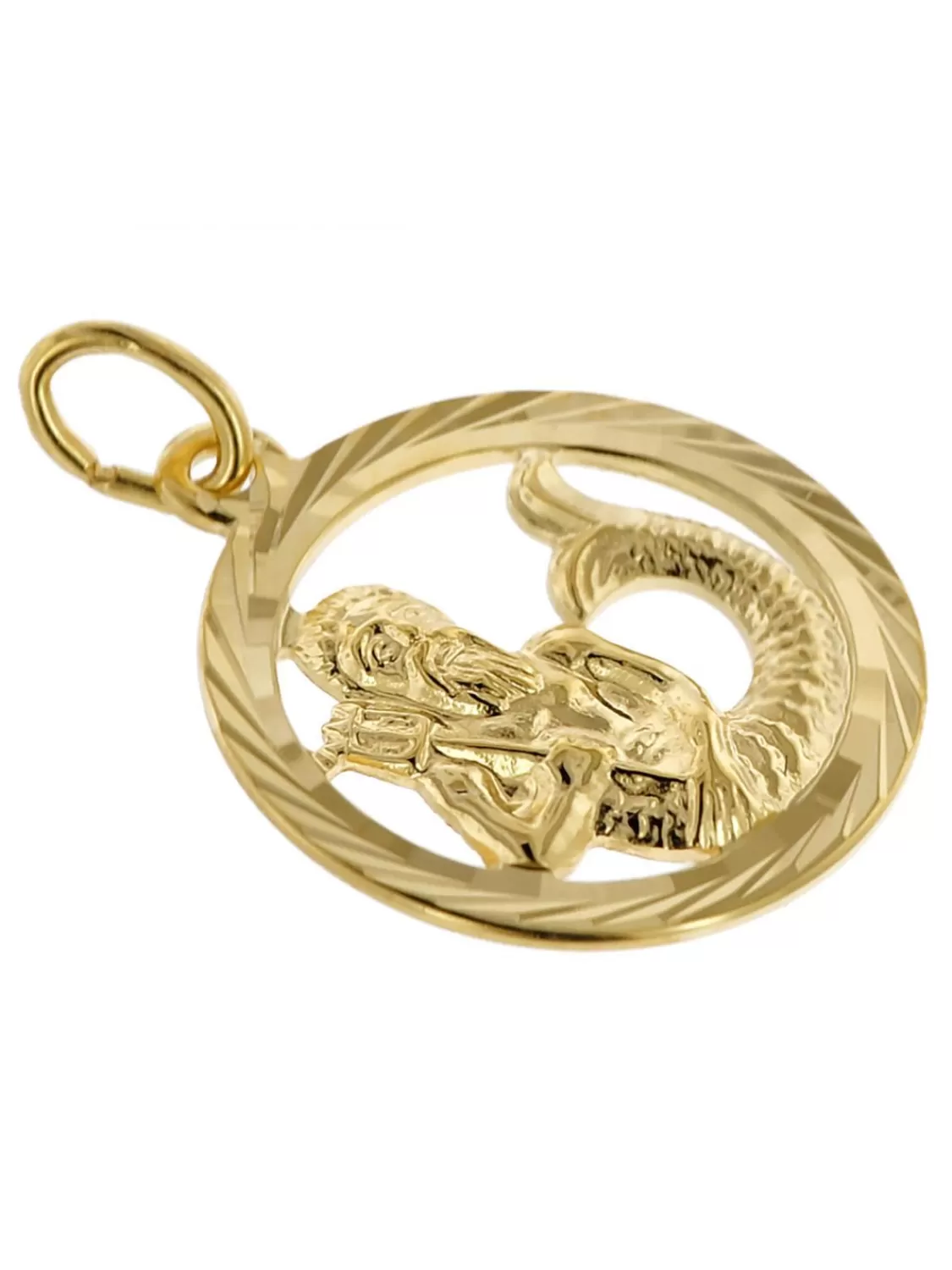 trendor Sternzeichen Wassermann Gold 333 Anhanger O 16 Mm + Halskette | Damenschmuck