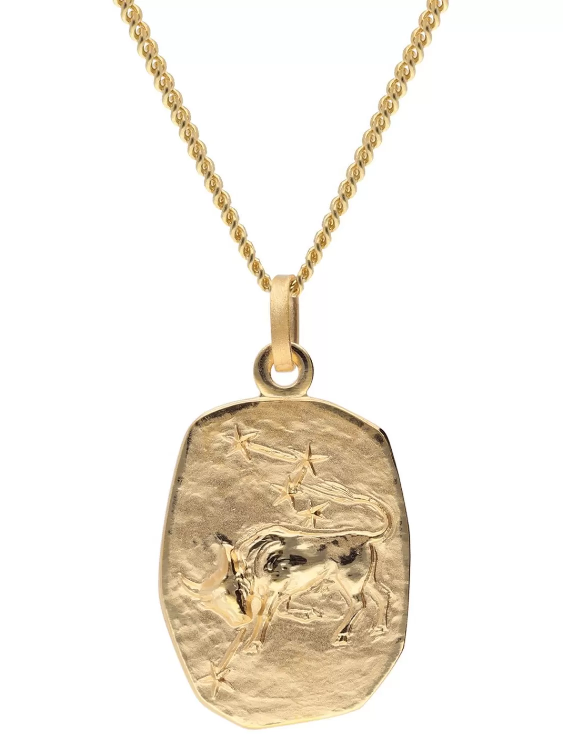 trendor Stier Sternzeichen Gold 333 / 8K Mit Vergoldeter Silberkette | Herrenschmuck