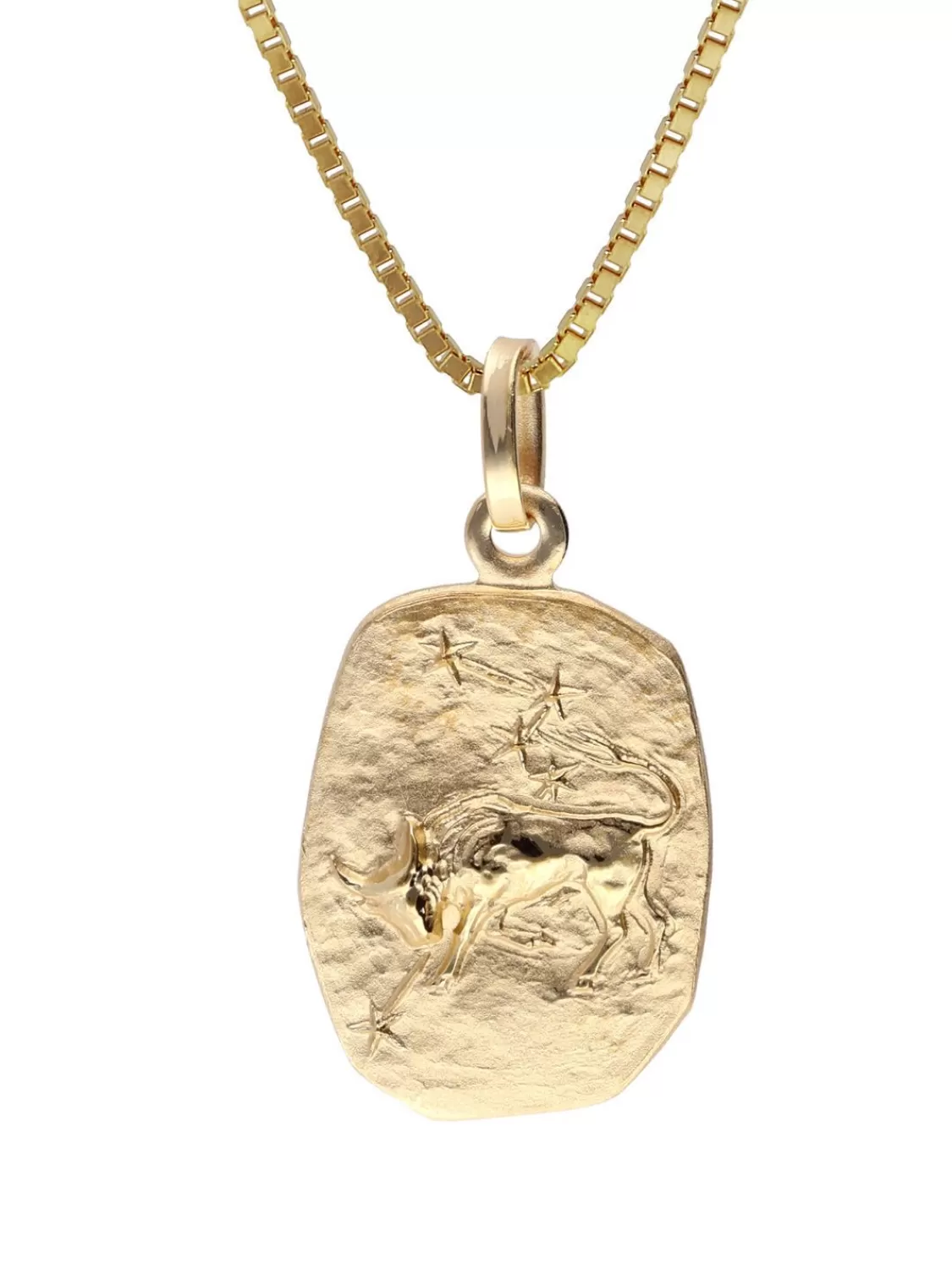 trendor Stier Sternzeichen Gold 333 / 8K Mit Vergoldeter Silberkette | Herrenschmuck