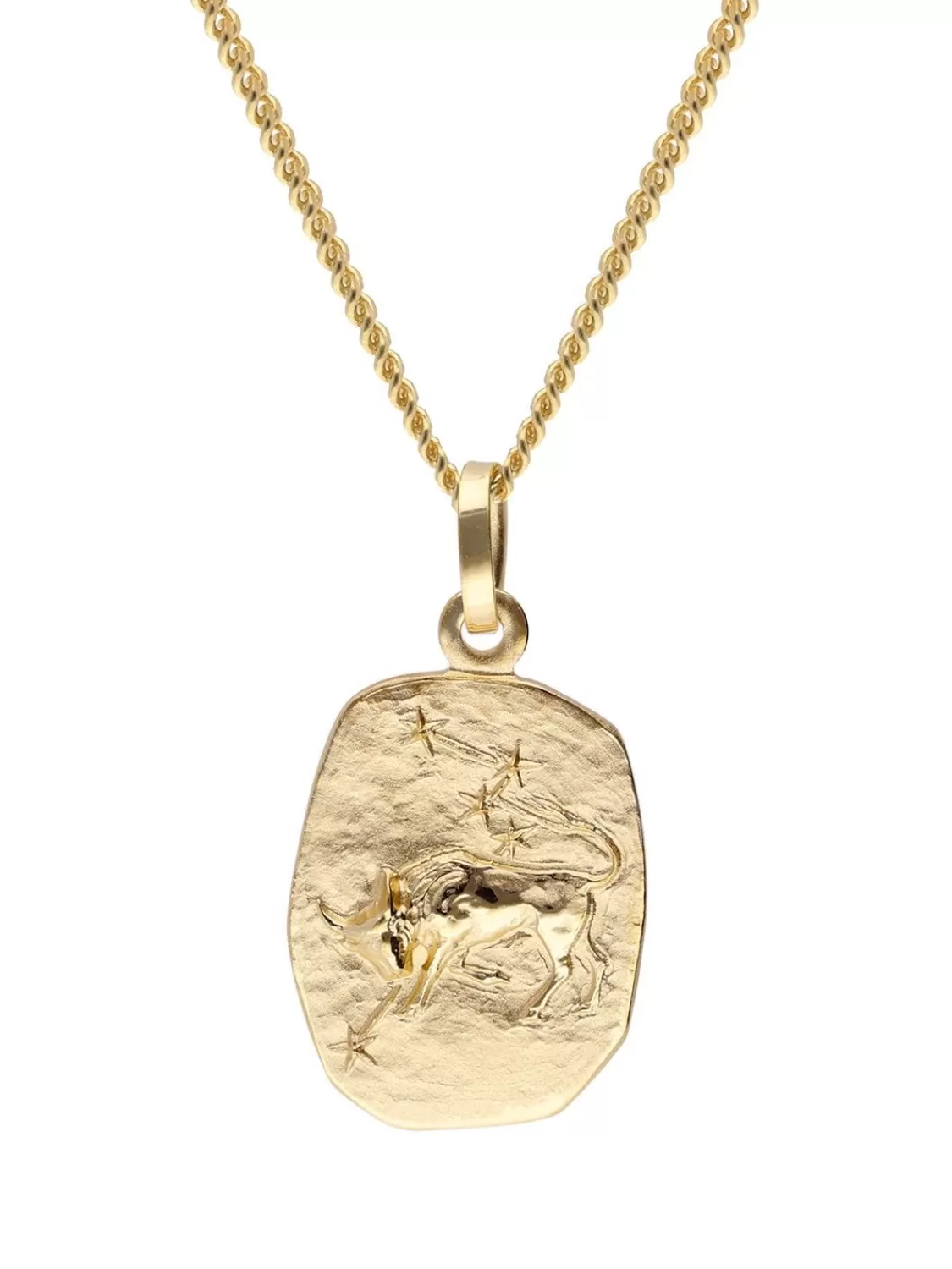 trendor Stier Sternzeichen Gold 585 / 14K Mit Vergoldeter Silberkette | Herrenschmuck